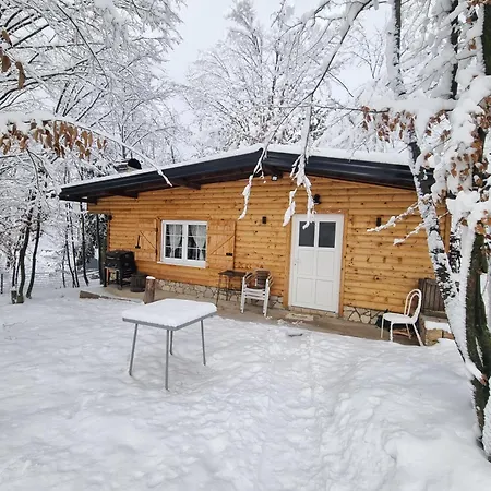 Dom wakacyjny Forest Fairytale *