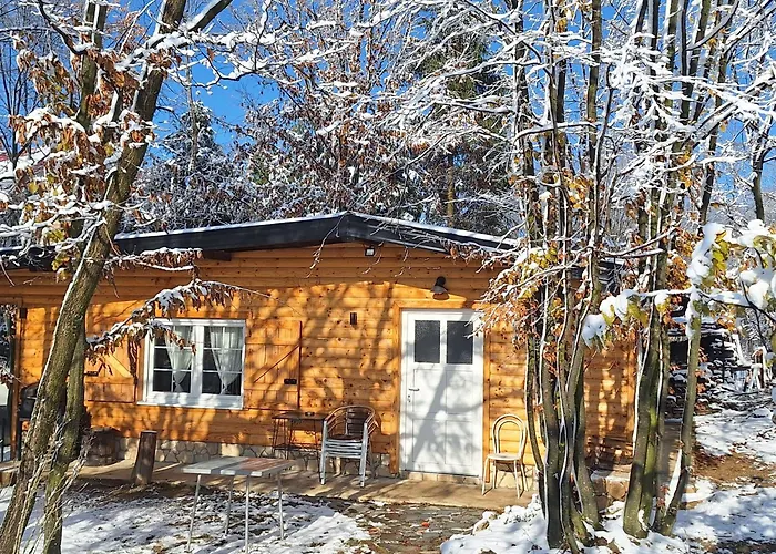 Forest Fairytale Obrovac