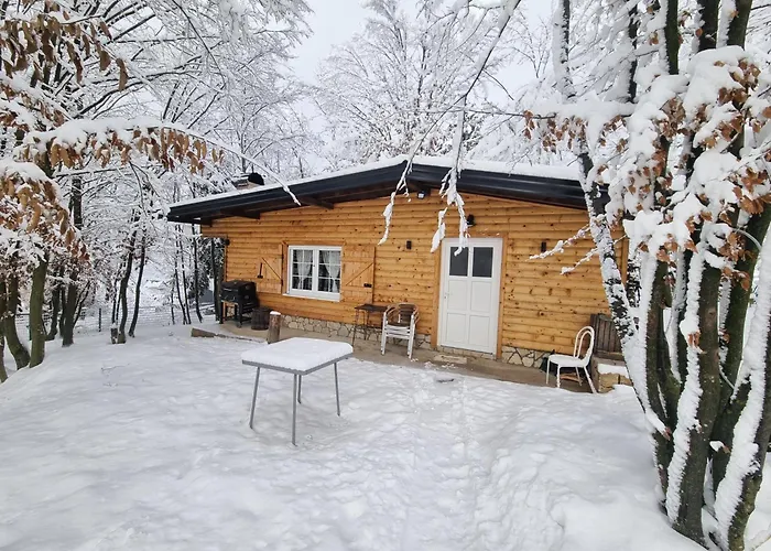 Semesterbostad Forest Fairytale *